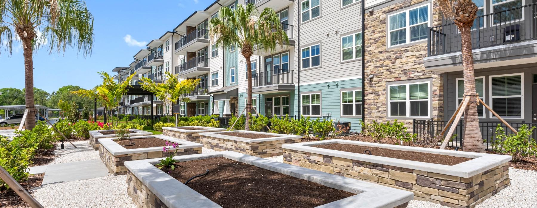 gardening plots in a courtyard